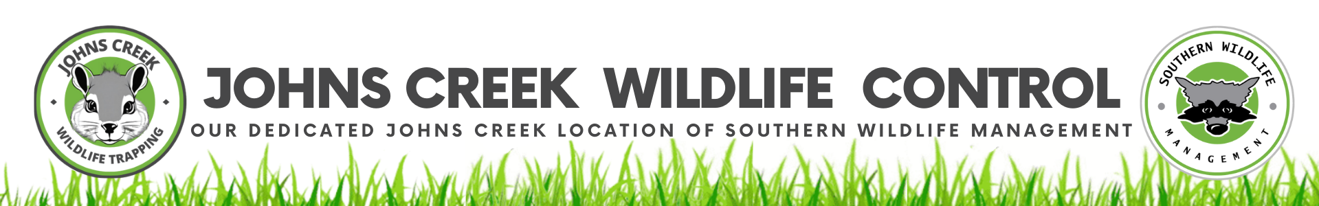 Johns Creek Wildlife Control